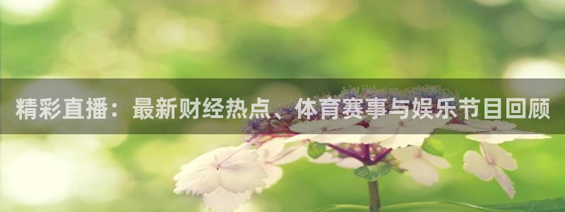 蜘蛛nba直播：精彩直播：最新财经热点、体育赛事与娱乐节目回顾