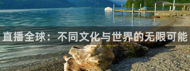 nba蜘蛛直播免费直播在线直播：直播全球：不同文化与世界的无限可能
