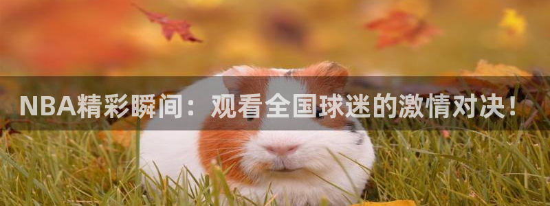 蜘蛛直播体育app：NBA精彩瞬间：观看全国球迷的激情对决！
