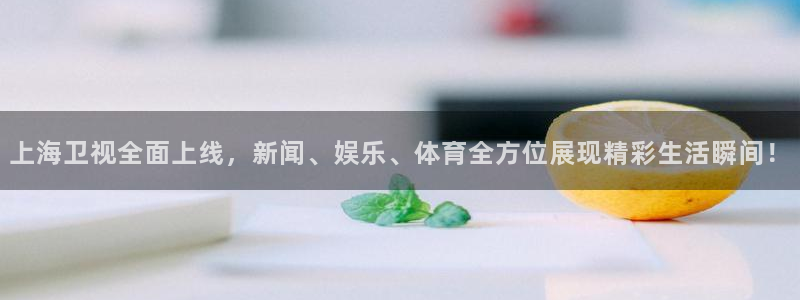 nba蜘蛛直播免费直播在线直播：上海卫视全面上线，新闻、娱乐、体育全方位展现精彩生活瞬间！