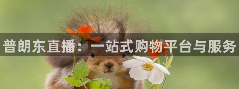 蜘蛛体育直播在线直播：普朗东直播：一站式购物平台与服务