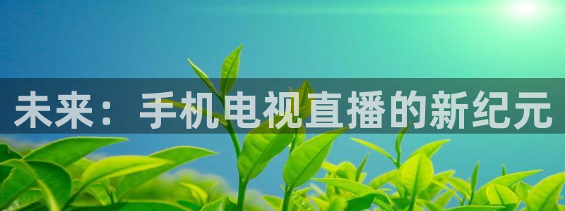 nba蜘蛛直播：未来：手机电视直播的新纪元