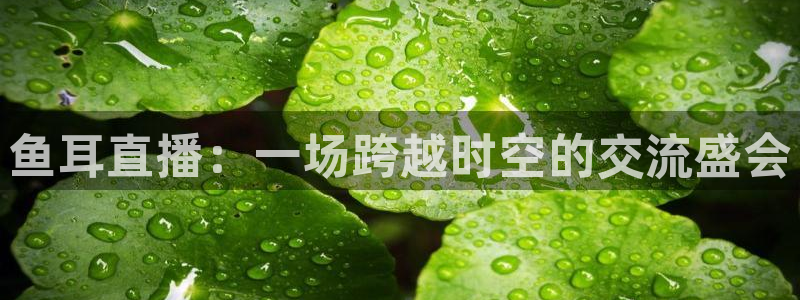 蜘蛛nba免费直播在线直播：鱼耳直播：一场跨越时空的交流盛会