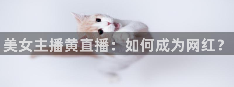 蜘蛛直播nba在线观看：美女主播黄直播：如何成为网红？