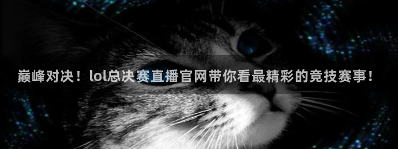 蜘蛛直播nba免费：巅峰对决！lol总决赛直播官网带你看最精彩的竞技赛事！