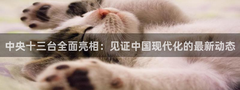 美女直播nba直播蜘蛛侠：中央十三台全面亮相：见证中国现代化的最新动态