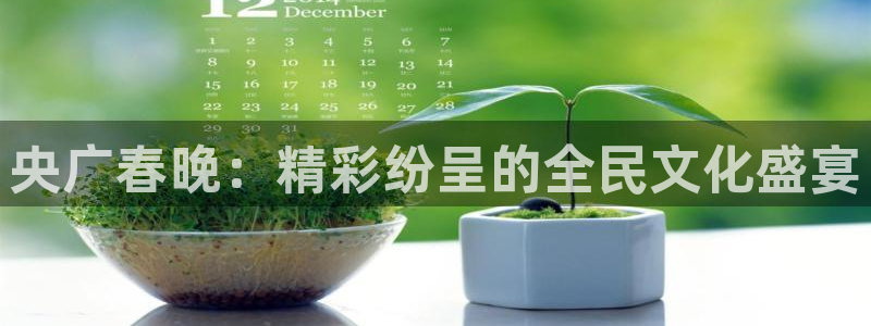 蜘蛛体育可可