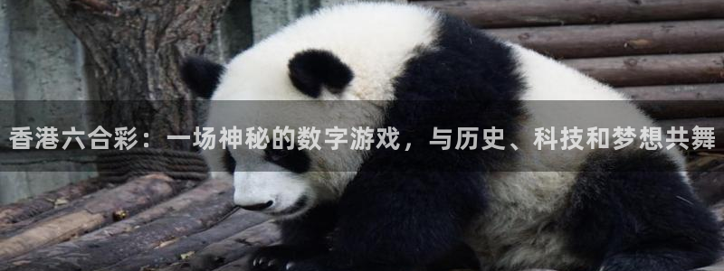 nba蜘蛛直播免费直播在线直播
