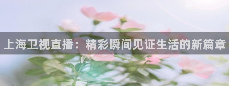 蜘蛛体育nba直播入口：上海卫视直播：精彩瞬间见证生活的新篇章