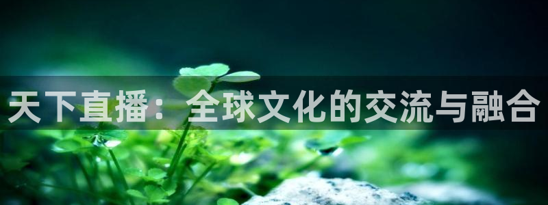 nba蜘蛛免费直播：天下直播：全球文化的交流与融合