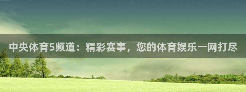 蜘蛛直播 nba：中央体育5频道：精彩赛事，您的体育娱乐一网打尽